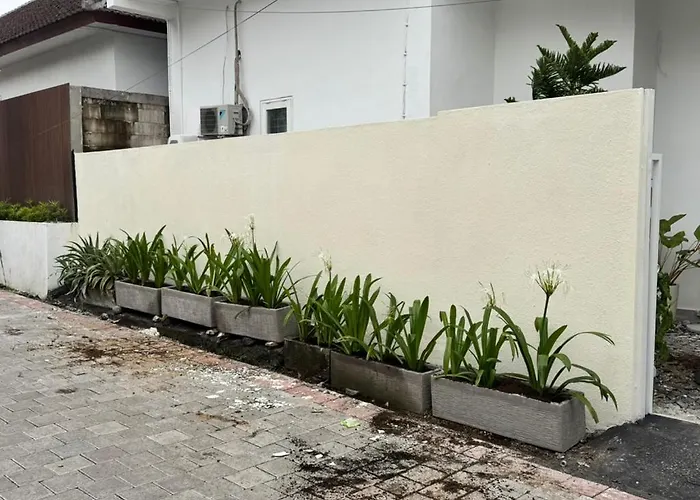 Kayu Tulang *